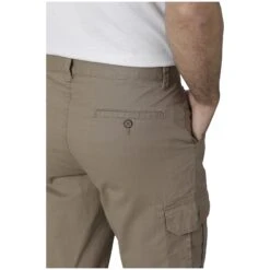 Bermuda ZANMO -Babista De server 1759