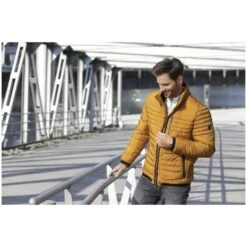 Blouson LUNATESSA -Babista De server 2249